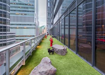 Dog spa and outdoor dog area (5th floor - bark park)